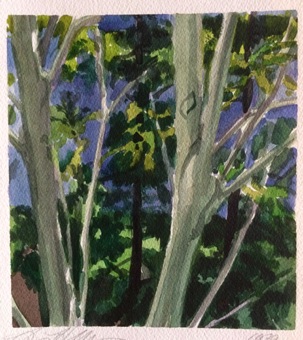 Trees Trees